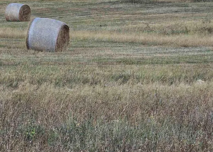 Ekskluzivna Vikendica Na Vlasicu Ferienhaus *