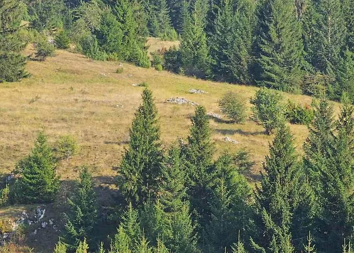 Ferienhaus Ekskluzivna Vikendica Na Vlasicu *